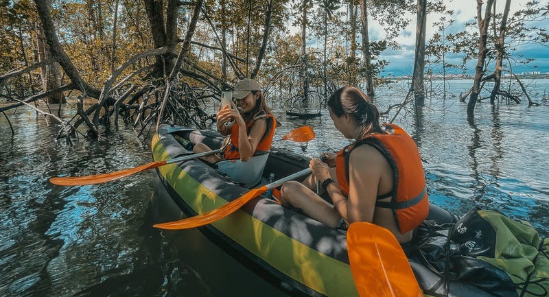 Mangrove kayaking in Singapore feels very surreal 