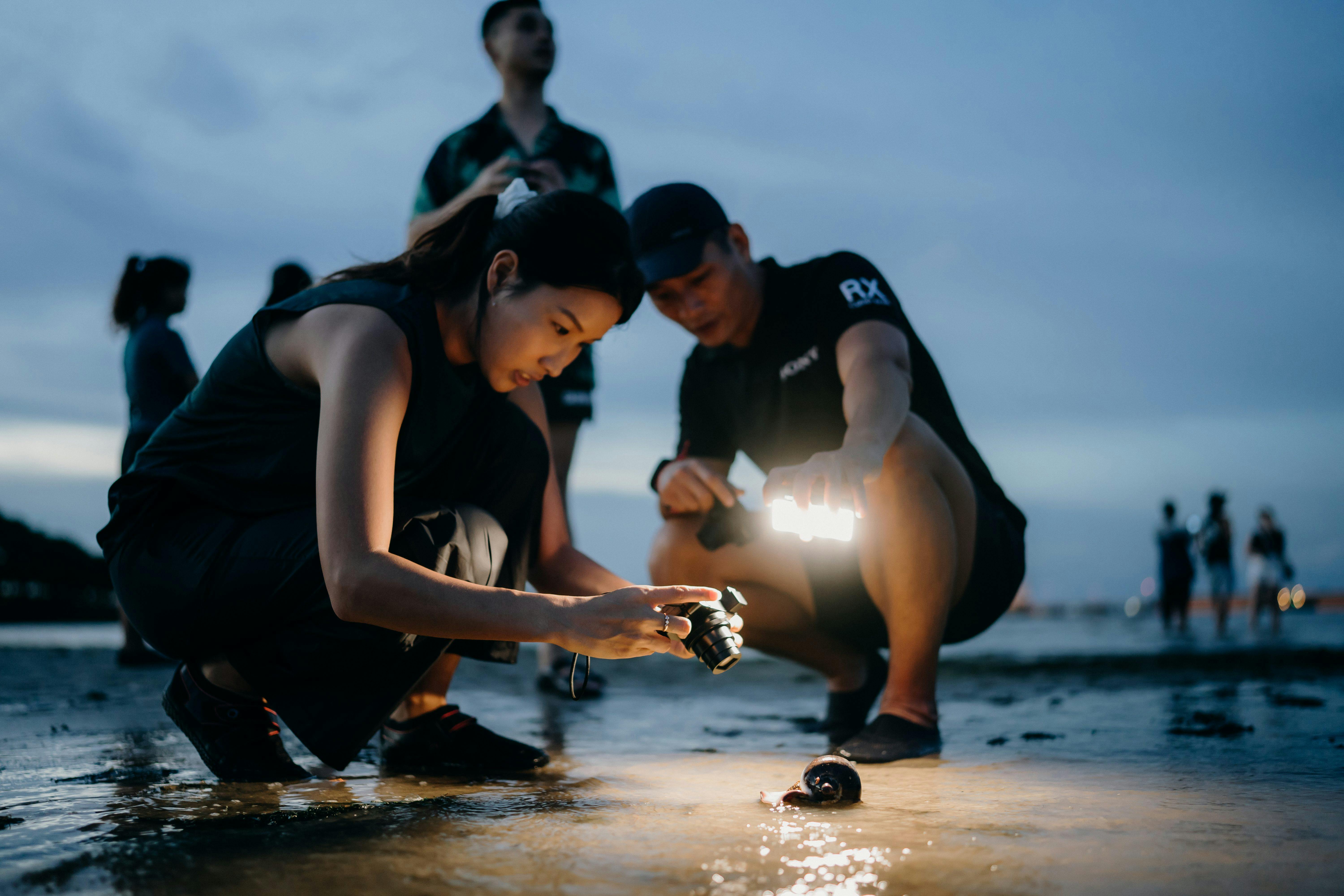 Finding unexpected marine life on the beach during an intertidal walk