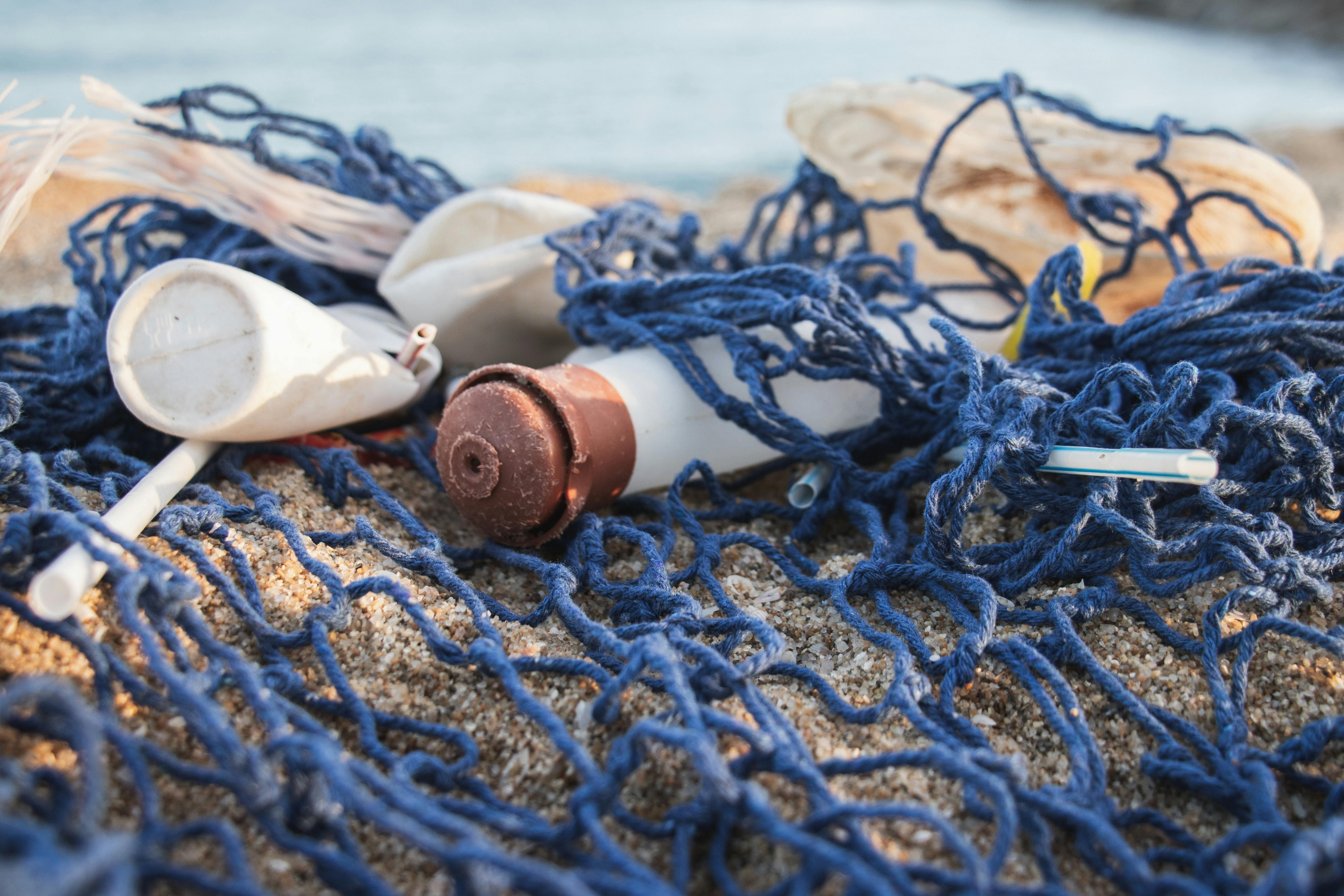 Angela Compagnone for Unsplash, Unsplash, Seema.com, Seema network, seema social, seema for South Asian women entrepreneurs, seema looks at 50 years of earth day, earth day 2020, earth day 50 years, 50 years of earth day, plastic straws pollution, NO straws attached environmental campaign, environment campaign, seema talks about environmental change during COVID-19