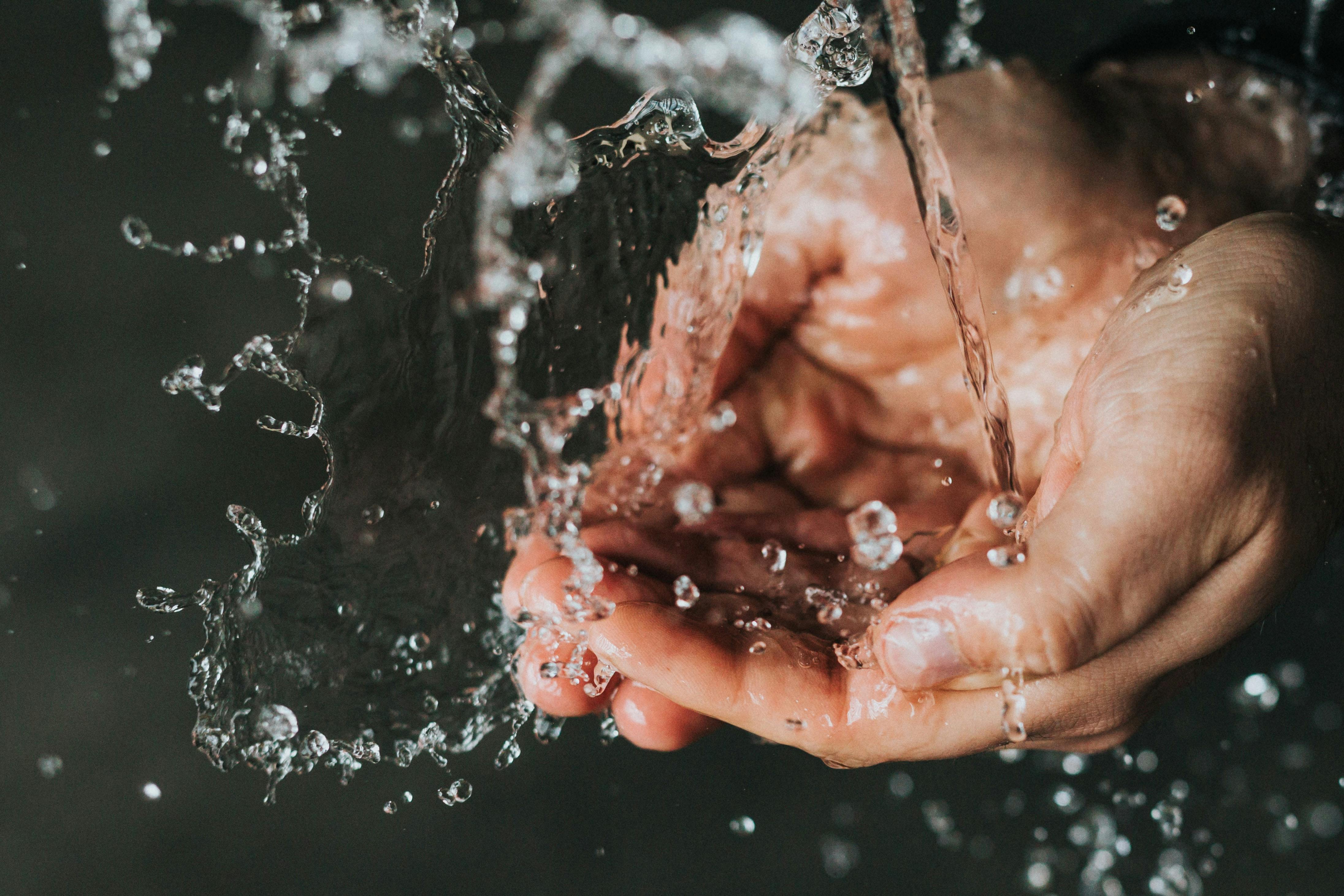 seema.com, seema network, seema website, seema newsletter, coronavirus, food safety, COVID-19, social distancing, food safety tips during quarantine, takeout, delivery, dining-in, shopping at supermarkets for food, washing hands, gloves, CDC