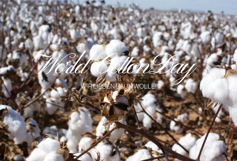 World Cotton Day | Seidensticker