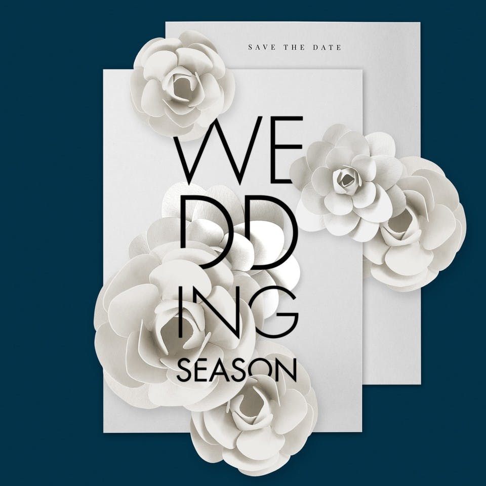Wedding Season | Seidensticker
