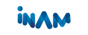 Innovation Network of Advanced Materials Logo