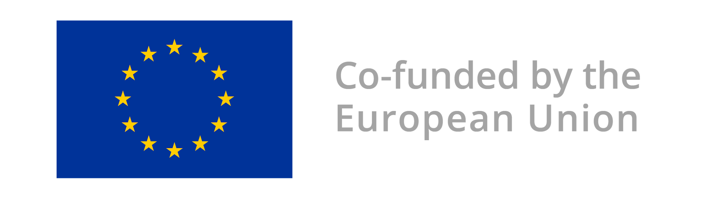 European Union Flag with text on the right that says co-funded by the European Union