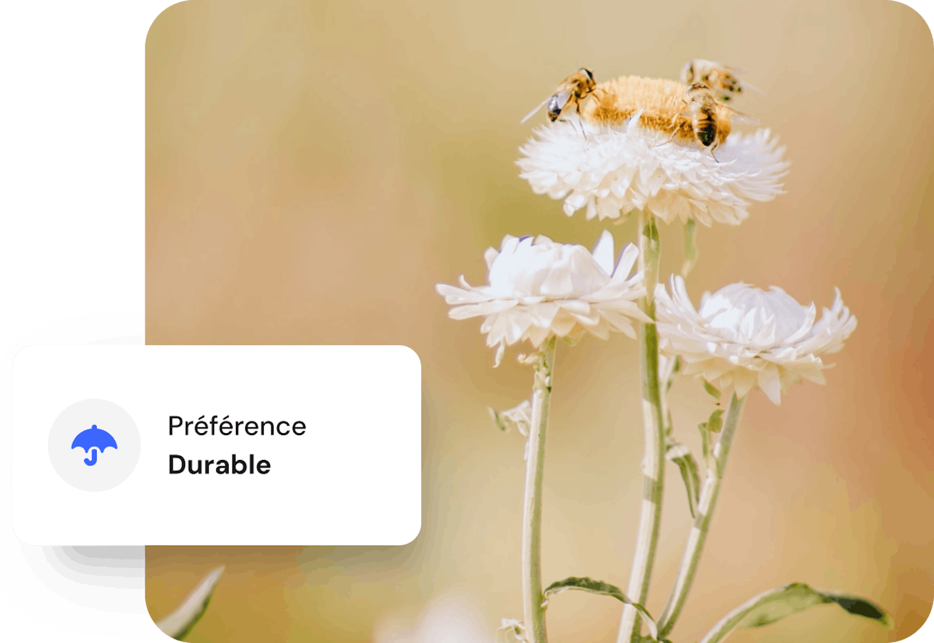 Image d'abeilles sur une fleur avec une carte de développement durable