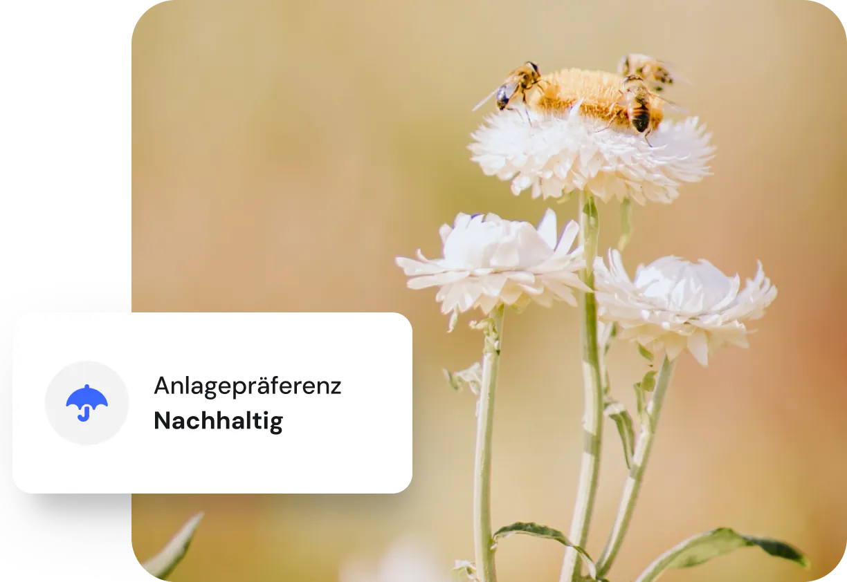 Bild von Bienen auf einer Blume mit Nachhaltigkeitskarte