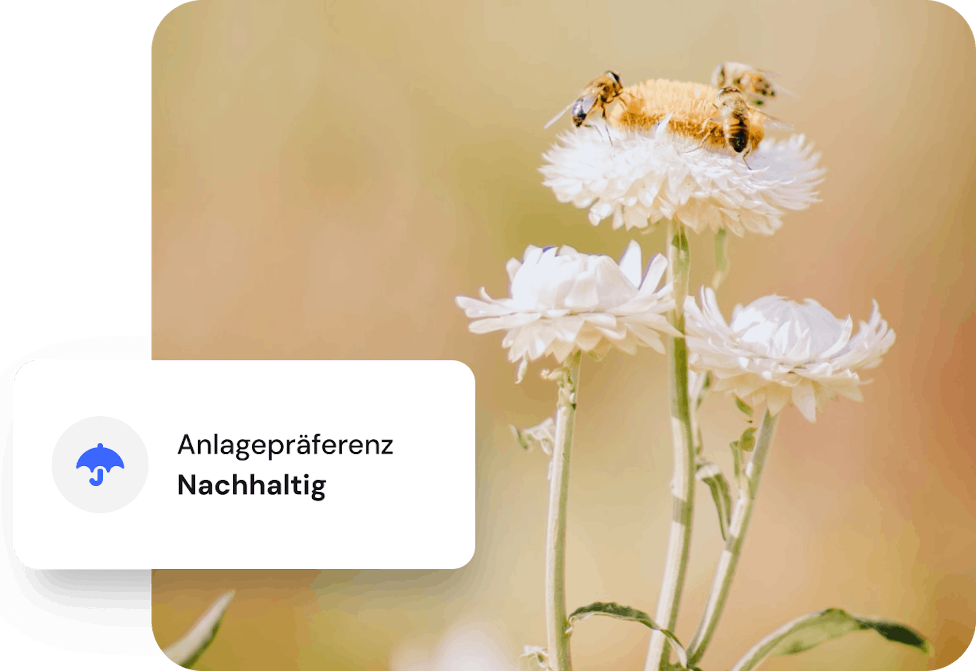 Bild von Bienen auf einer Blume mit Nachhaltigkeitskarte