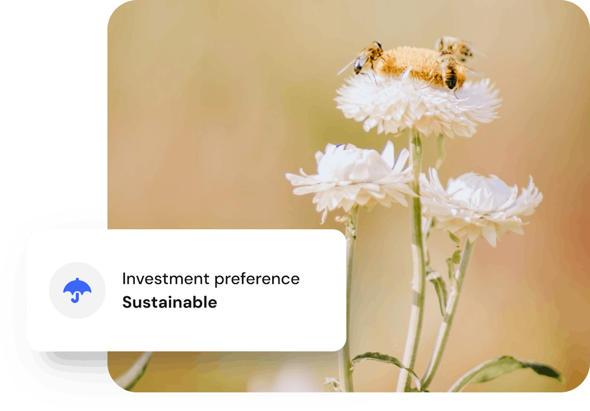 Image of bees on a flower with sustainability card