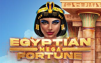 Play Mega Fortune for free 