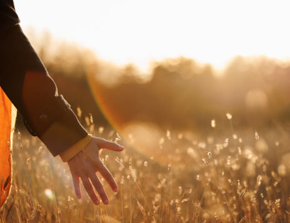 Veșnicia s-a născut la sat image