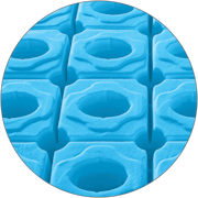 Air Support™ Foam