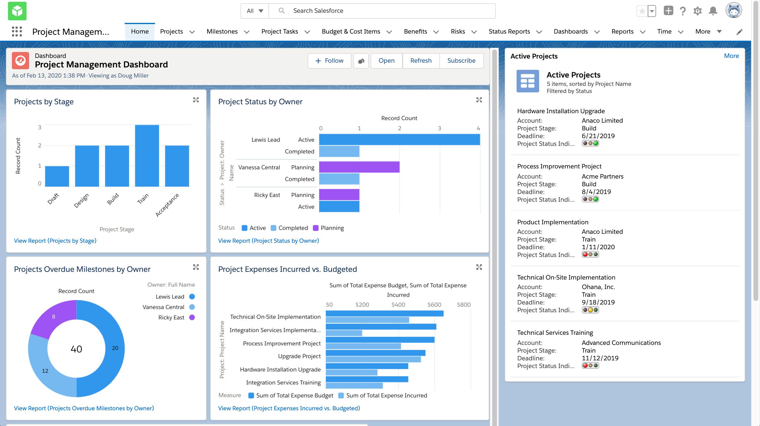 Salesforce for Government Project Management
