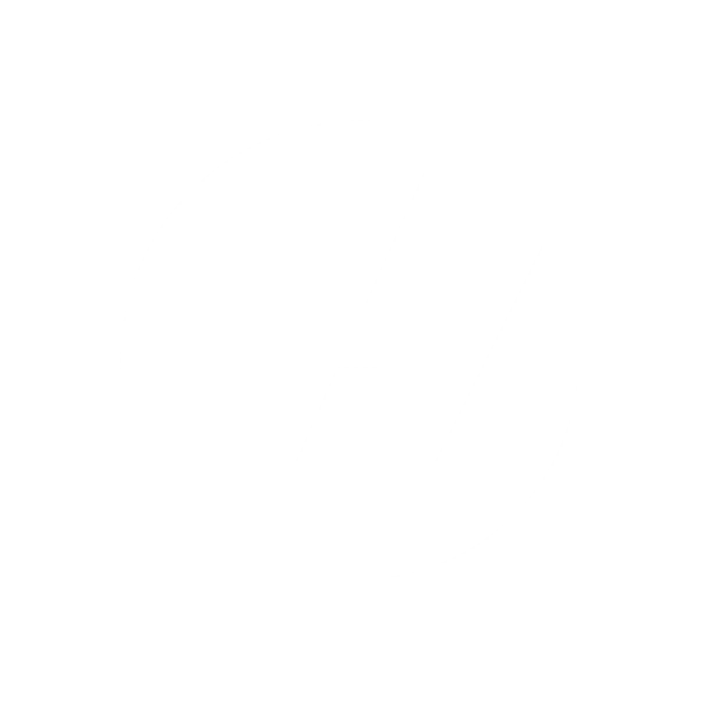 VCIVW Logo White Vcivw logo white