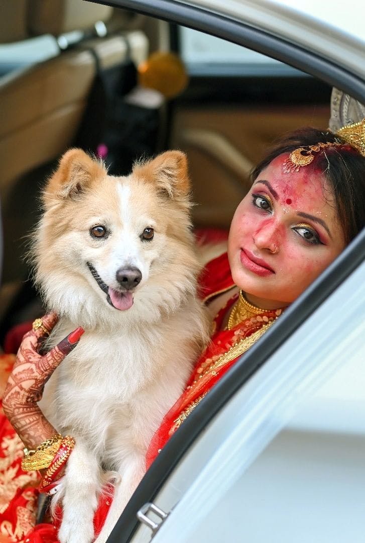 bengali wedding picture


