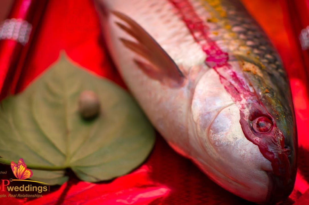 Fresh fish for wedding tatta