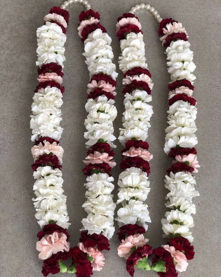 beautiful carnations