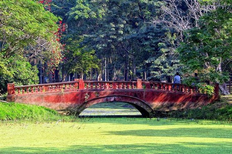 Botanical Garden