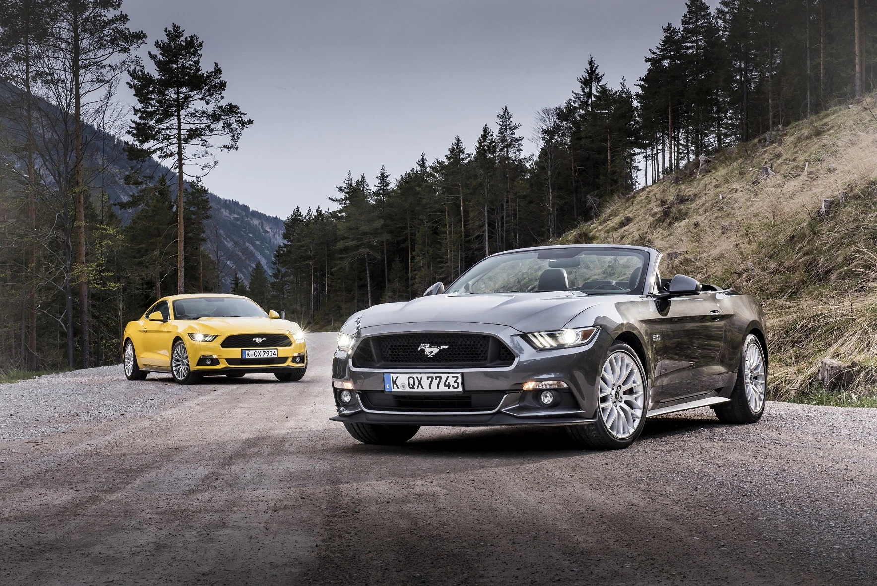 Zwei Ford Mustang Autos, ein graues Cabrio und ein gelbes Coupé, auf einer Waldstraße bei bewölktem Himmel geparkt.