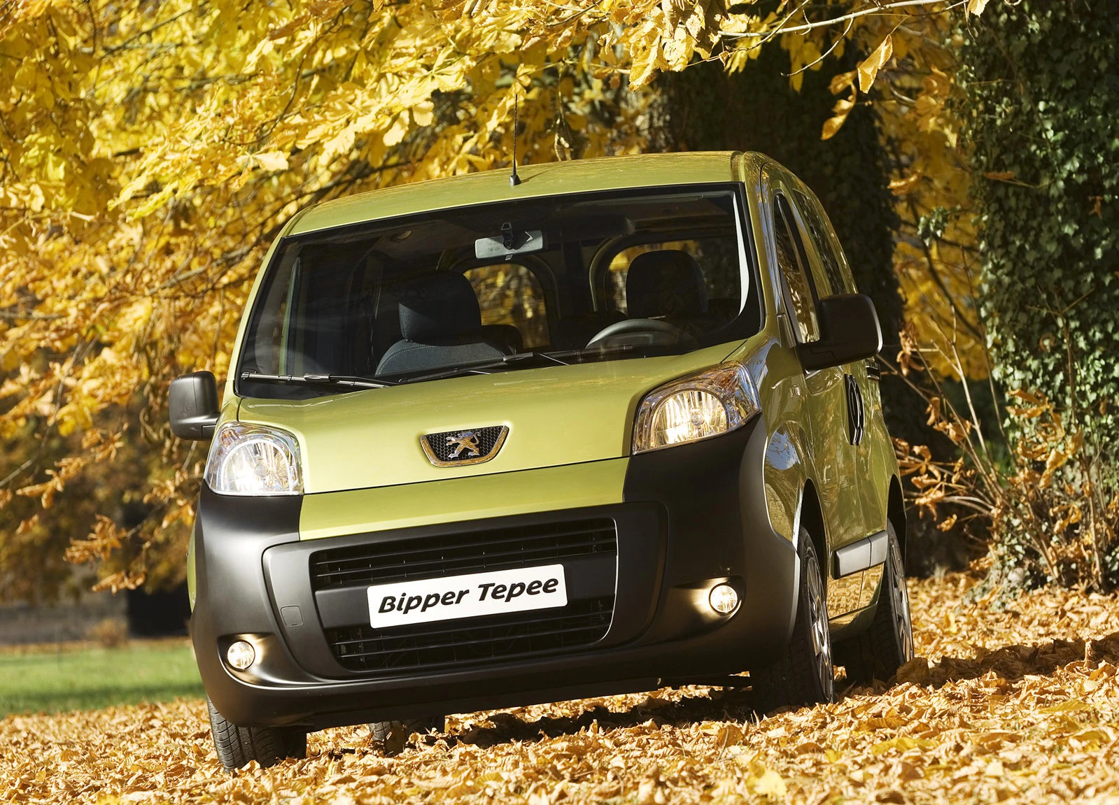 Grüner Peugeot Bipper Tepee fährt durch herbstlich bedeckte Blätter auf einer baumgesäumten Straße.