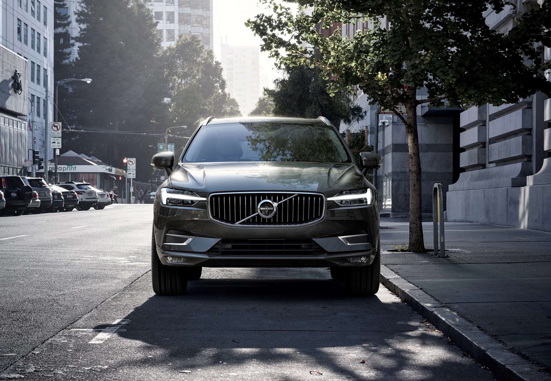 Ein grauer Volvo SUV parkt auf einer städtischen Straße am Tag, umgeben von Bäumen und Gebäuden.