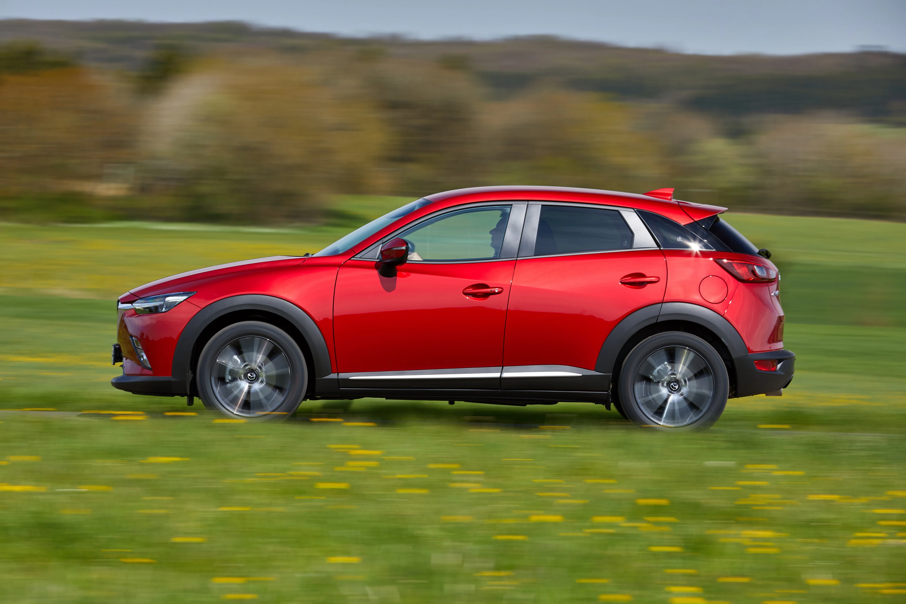 Roter SUV fährt auf einer grünen Wiese mit gelben Blumen im Vordergrund, verschwommener Wald im Hintergrund.