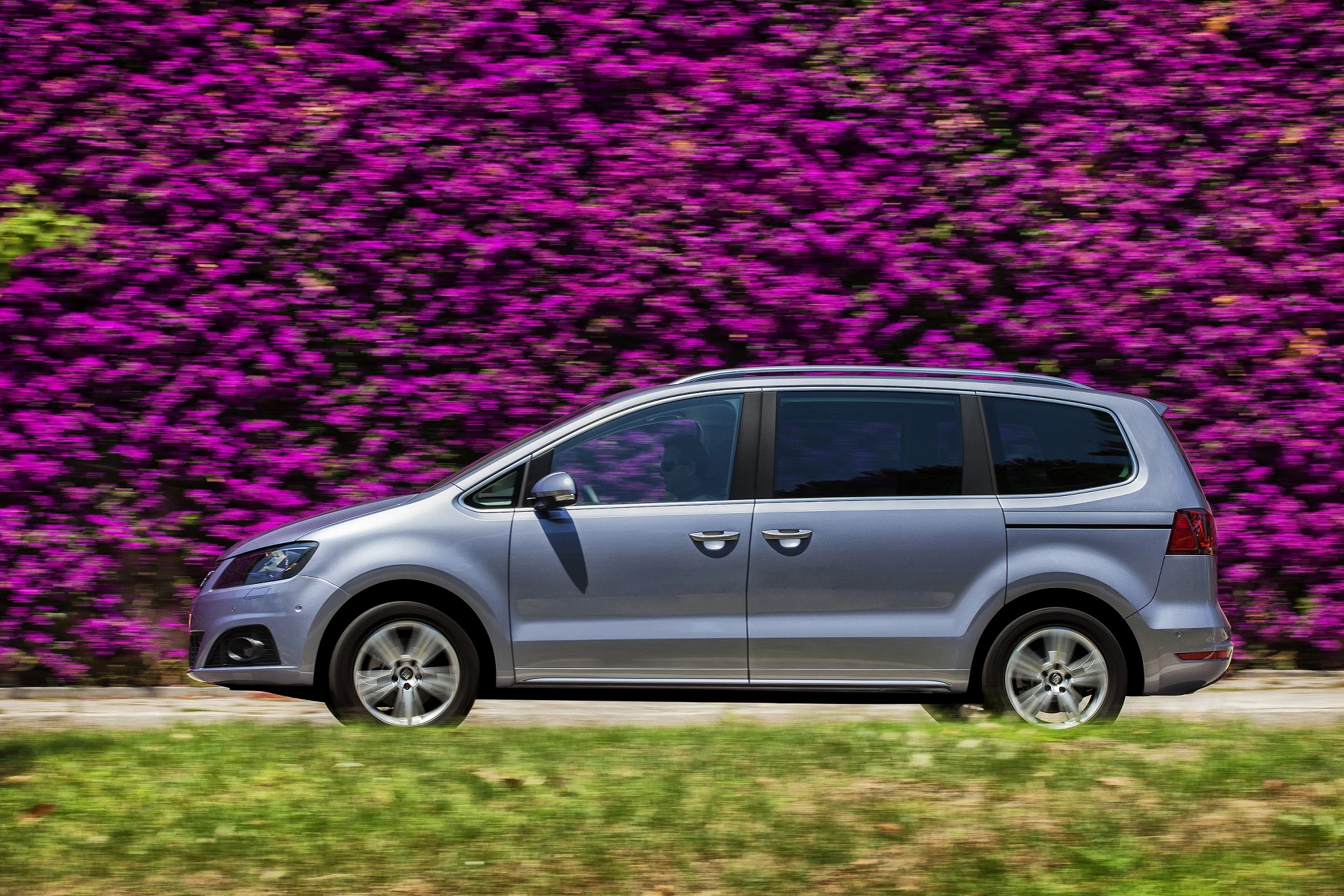 Silberner Minivan fährt an einer lila blühenden Hecke entlang, auf einer Straße bei Tageslicht.