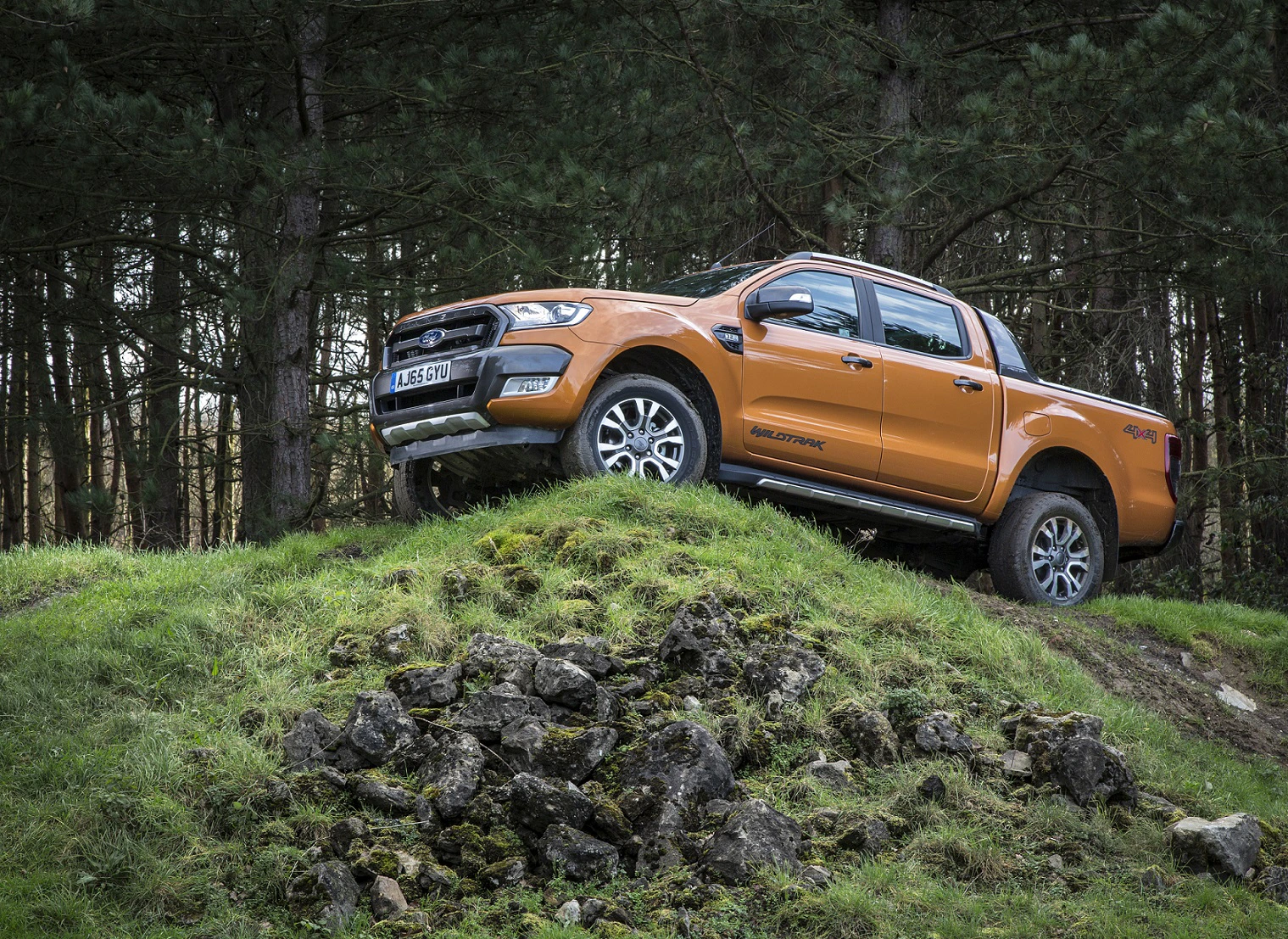 Ein orangefarbener Pickup fährt über einen grasbewachsenen Hügel, umgeben von Bäumen im Hintergrund.