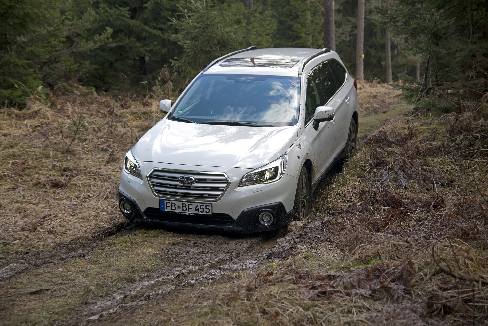 Silberner SUV fährt auf einem matschigen Waldweg durch dichten Wald. Bäume und Gestrüpp umgeben das Auto.