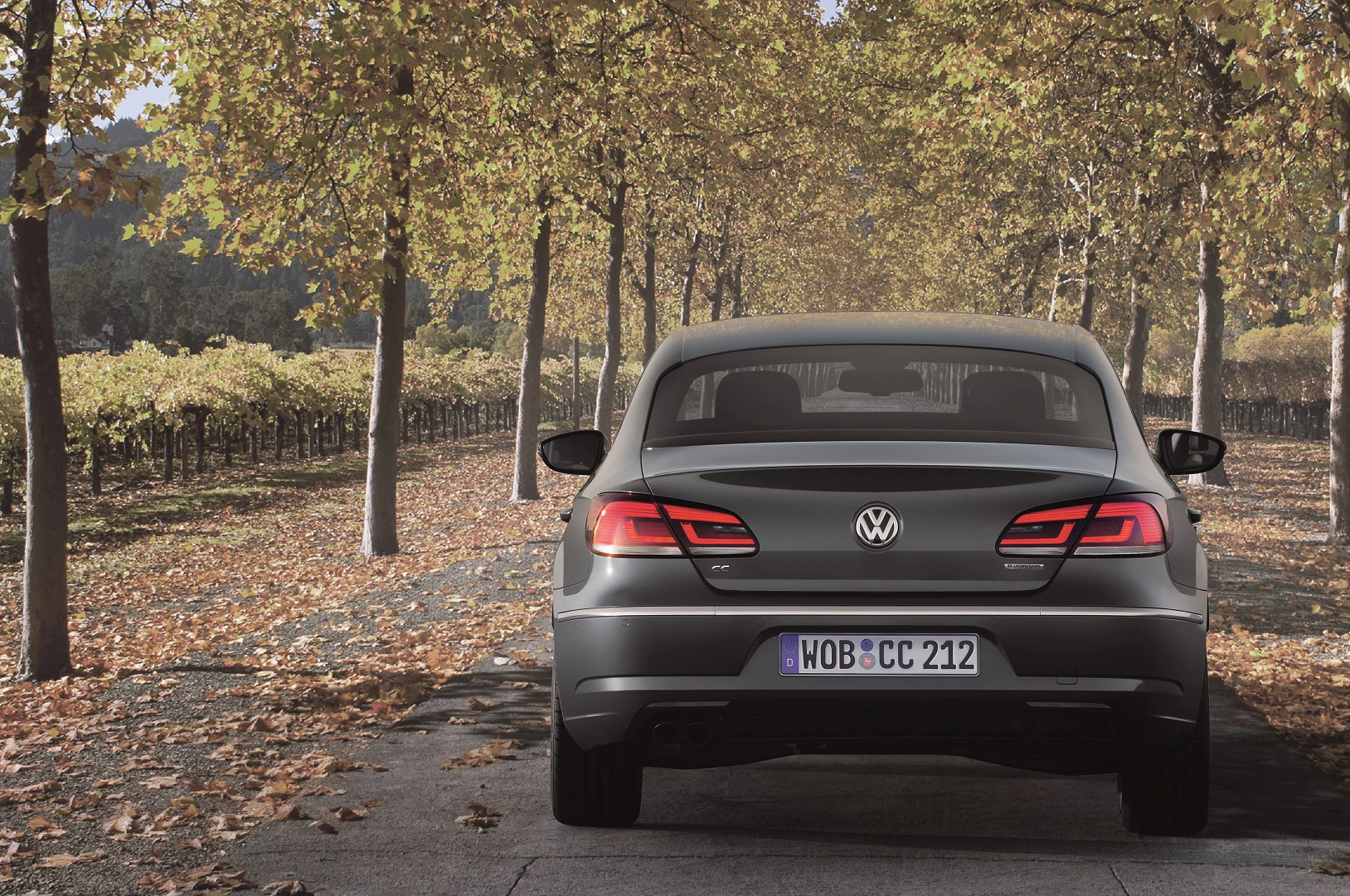 Ein grauer Volkswagen fährt auf einer von Bäumen gesäumten Allee, bedeckt mit Herbstlaub.