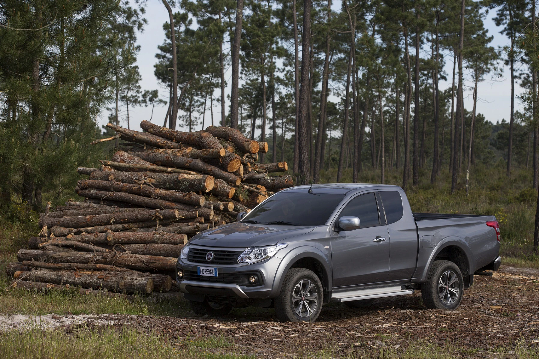 Silberner Pickup-Truck parkt auf einem Waldweg vor einem Holzstapel; umgeben von hohen Kiefern.
