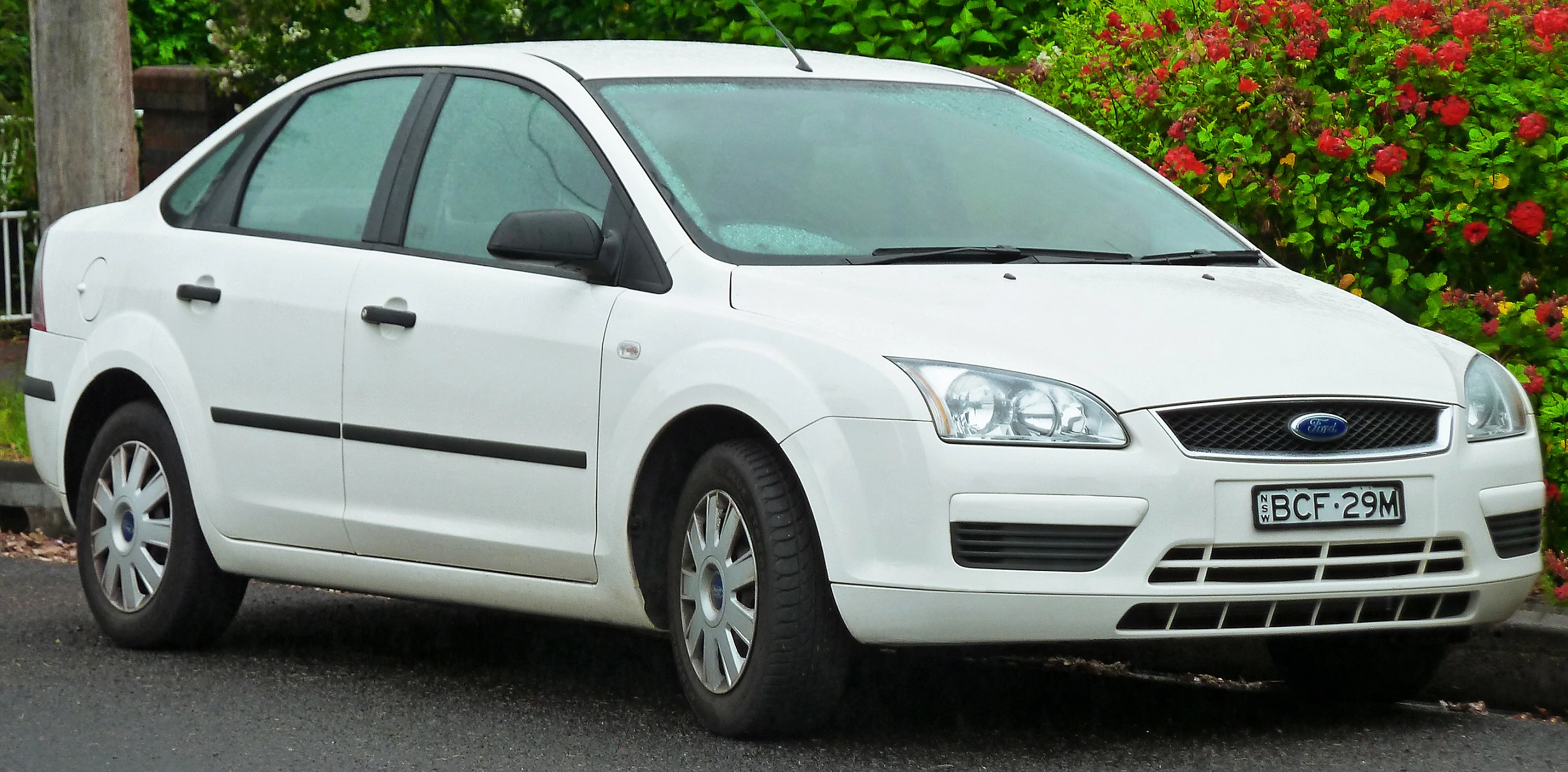 Weißer Ford Focus, Limousine, geparkt auf einer Straße, umgeben von grüner Vegetation und roten Blumen im Hintergrund.