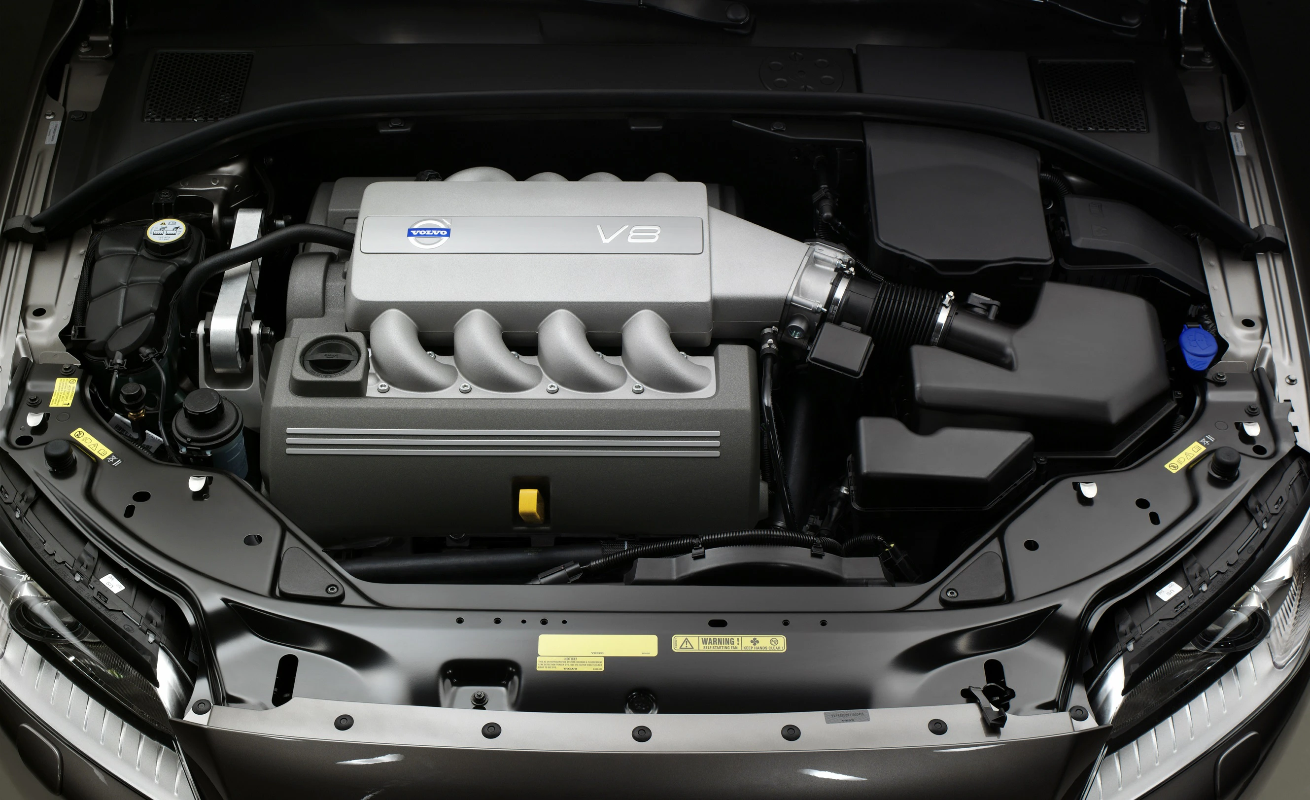 Ein sauberer, moderner V8-Motor im Motorraum eines Fahrzeugs, mit klarer Beschriftung und verschiedenen technischen Komponenten sichtbar.
