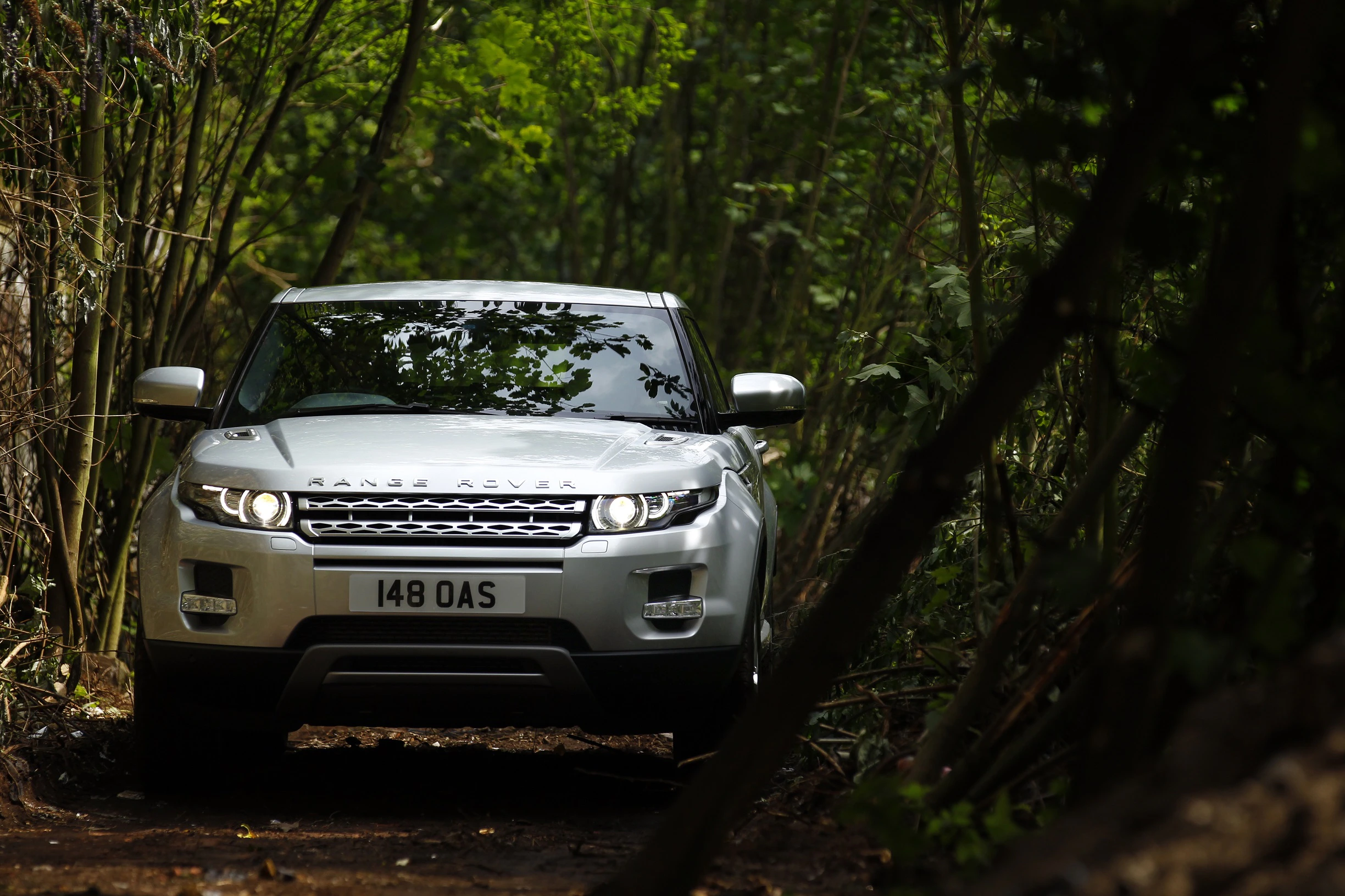 Silberner Range Rover fährt auf einem schmalen Waldweg, umgeben von üppigem Grün und Bäumen bei Tageslicht.