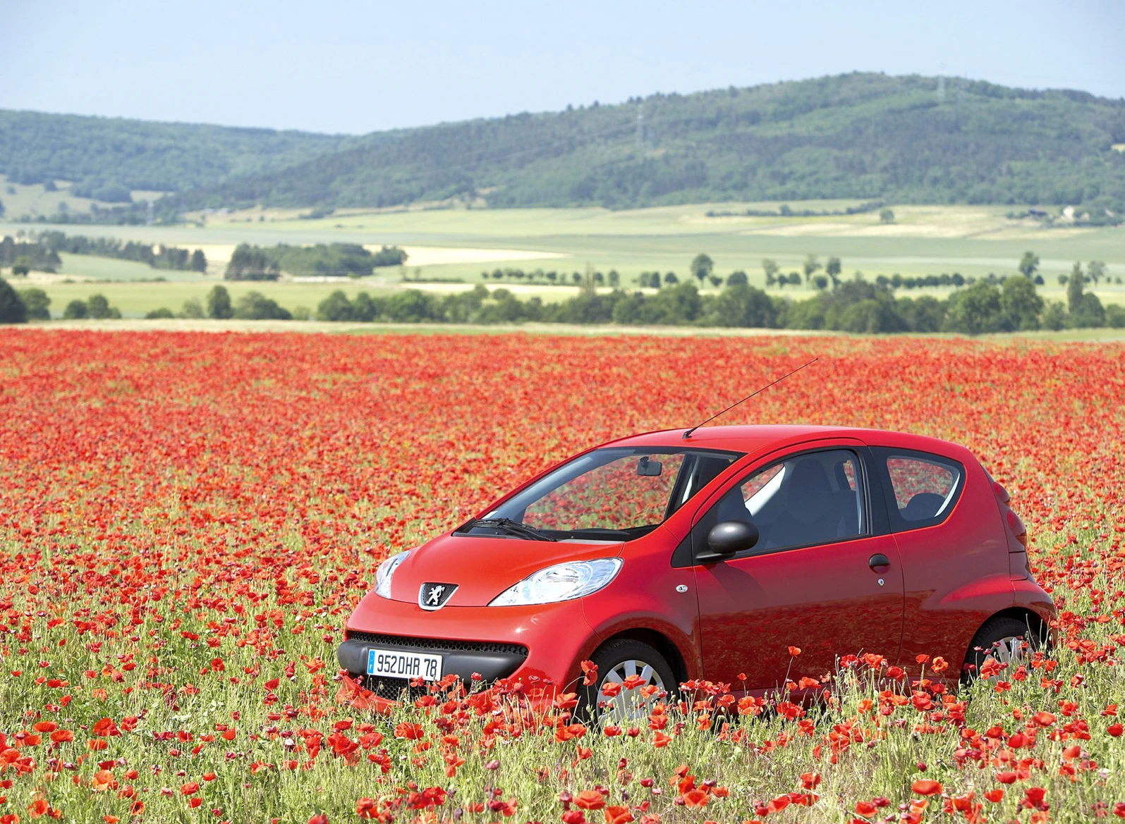 Rotes Auto in einem blühenden roten Mohnblumenfeld, umgeben von sanften Hügeln und weitem, grünem Land im Hintergrund.