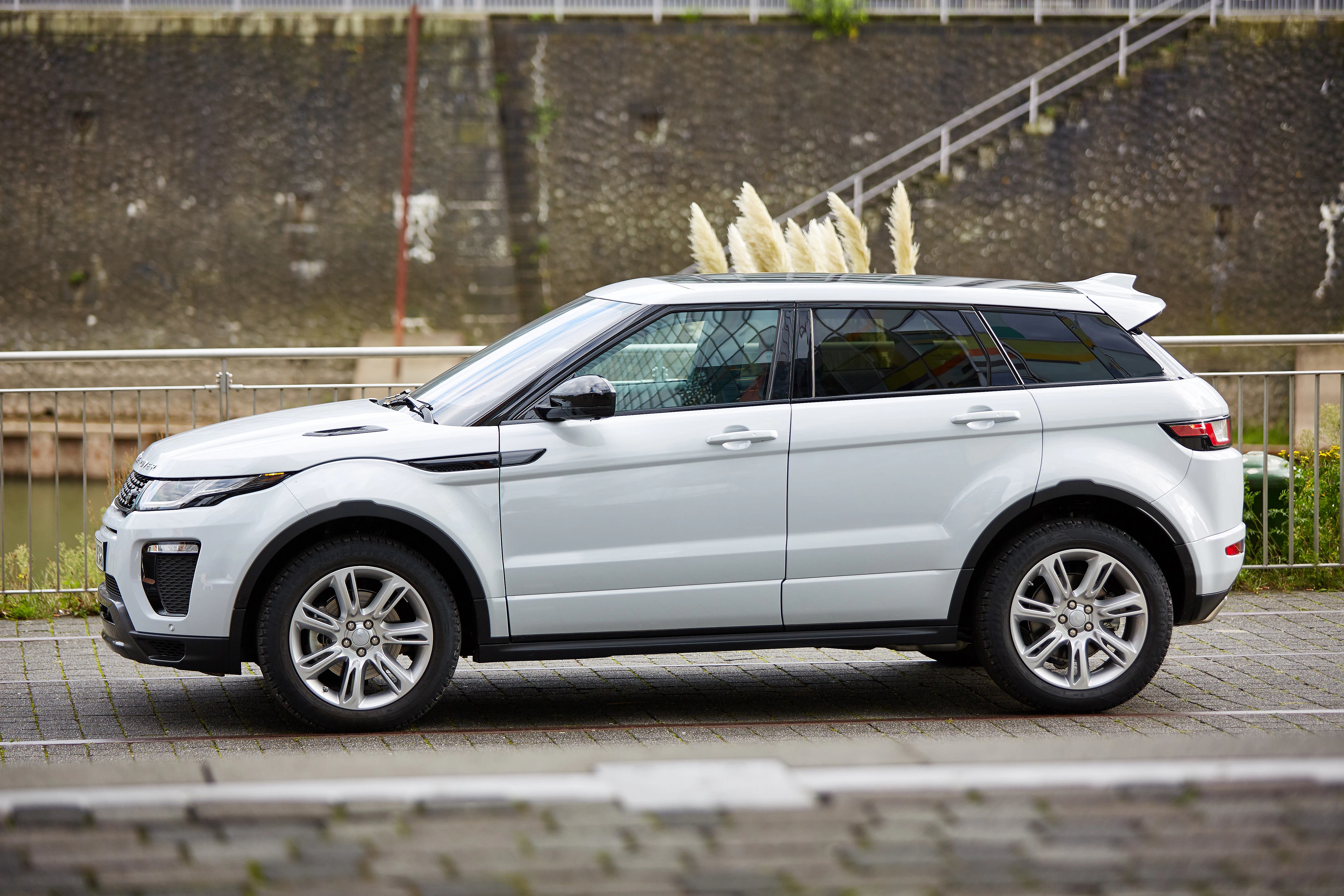 Weißer SUV parkt auf einer gepflasterten Fläche vor einer Mauer mit Treppe. Pampasgras wächst im Hintergrund.