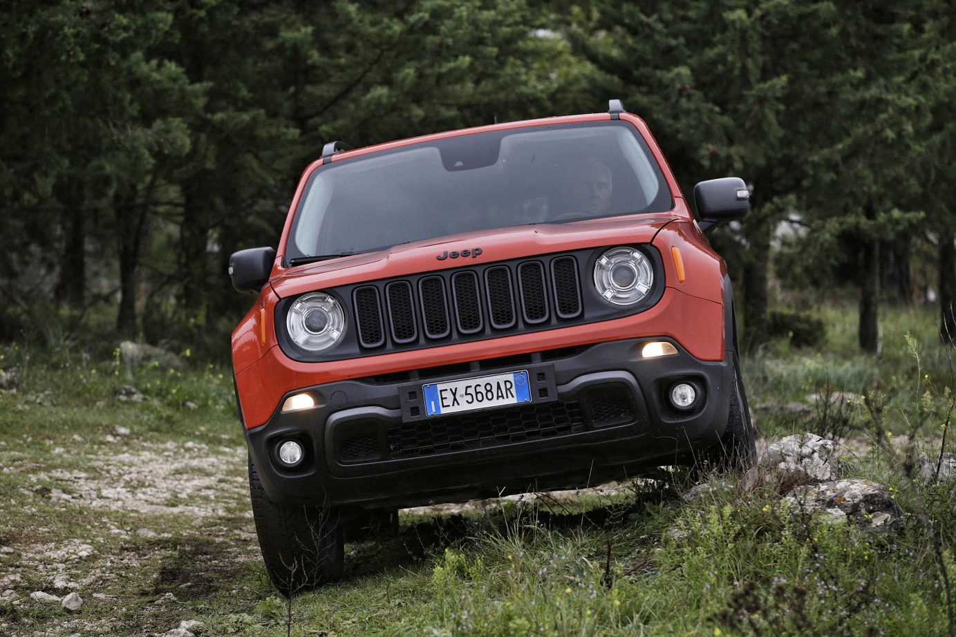 Roter SUV fährt auf unebenem, grasbewachsenem Gelände; Bäume im Hintergrund.