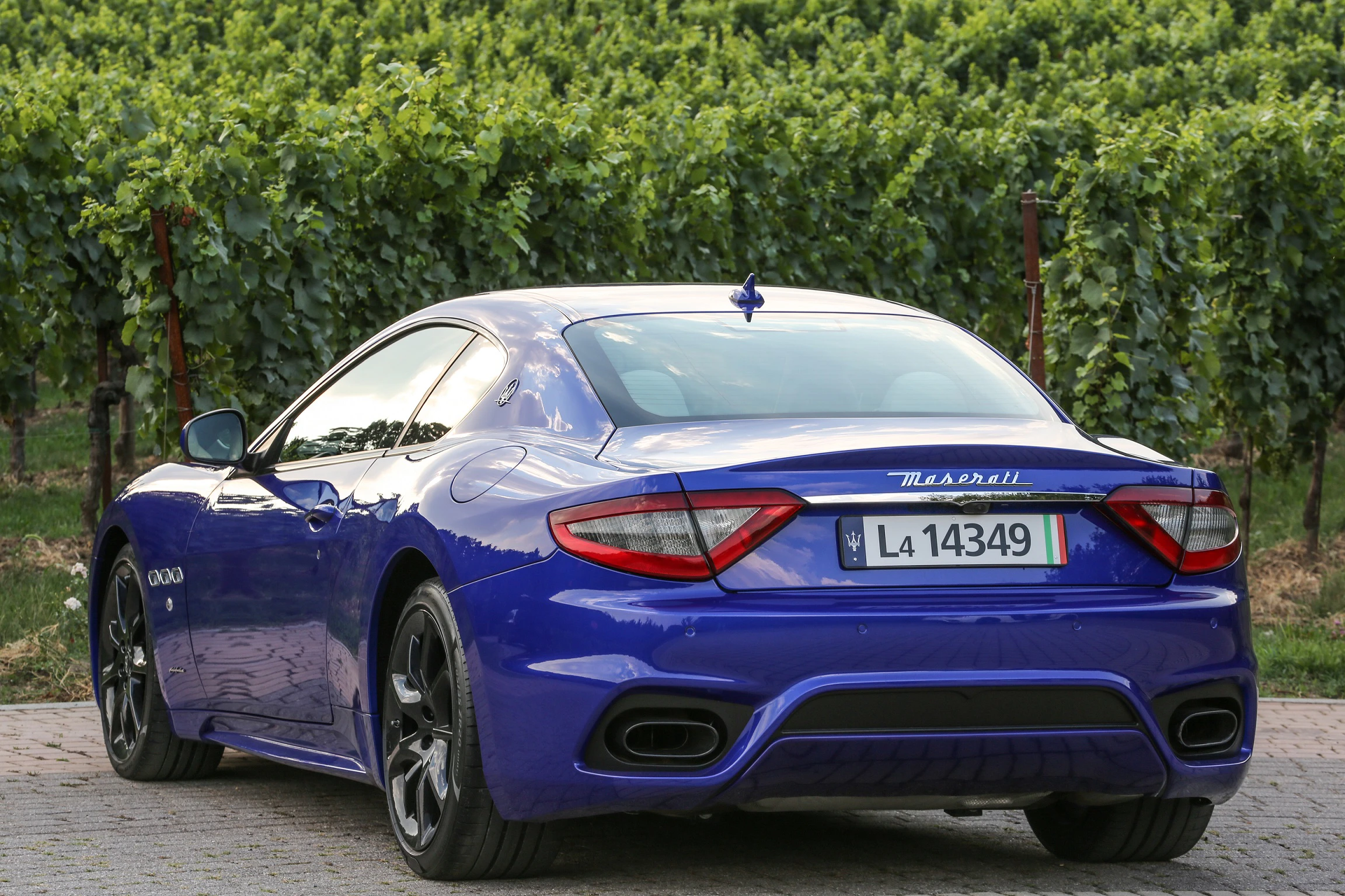 Blauer Sportwagen, Maserati, auf gepflastertem Weg vor einem Weinberg geparkt, mit markantem Heckdesign und italienischem Kennzeichen.