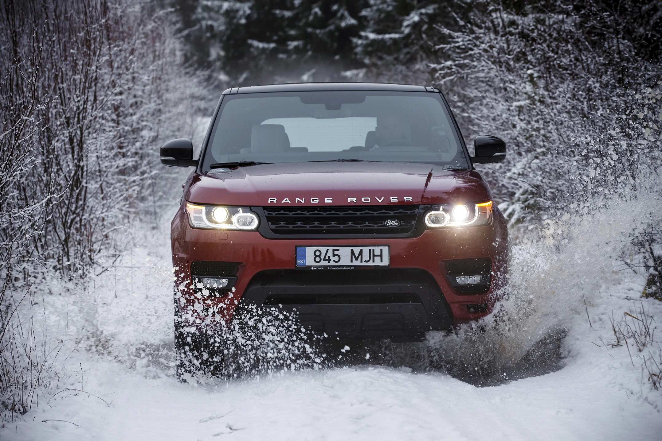 Ein roter Range Rover fährt durch verschneiten Wald, spritzt Schnee hoch und wirkt kraftvoll und robust auf dem verschneiten Weg.