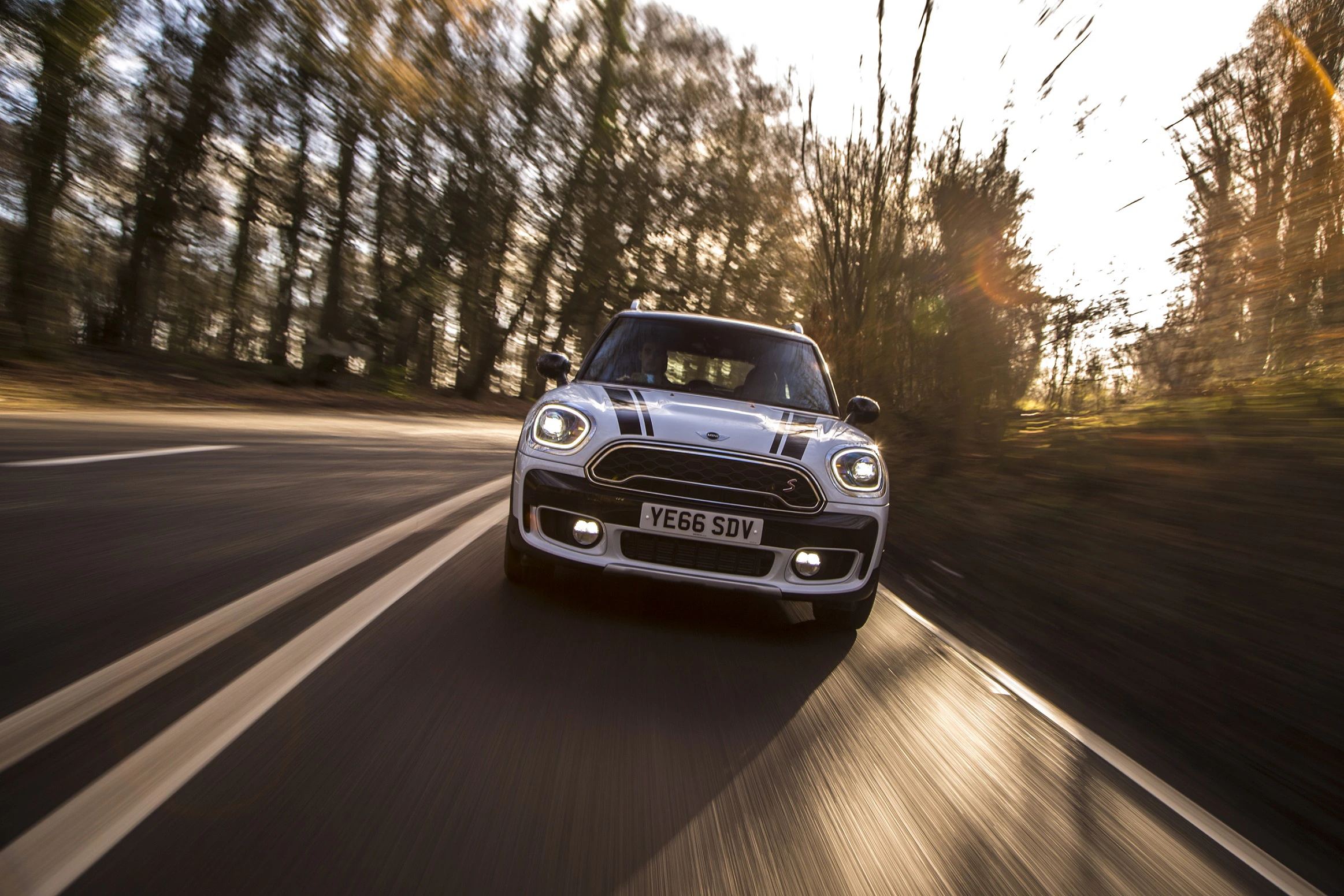 Silberner Mini Cooper fährt auf einer Landstraße durch einen Wald. Sonnenlicht scheint durch die Bäume.