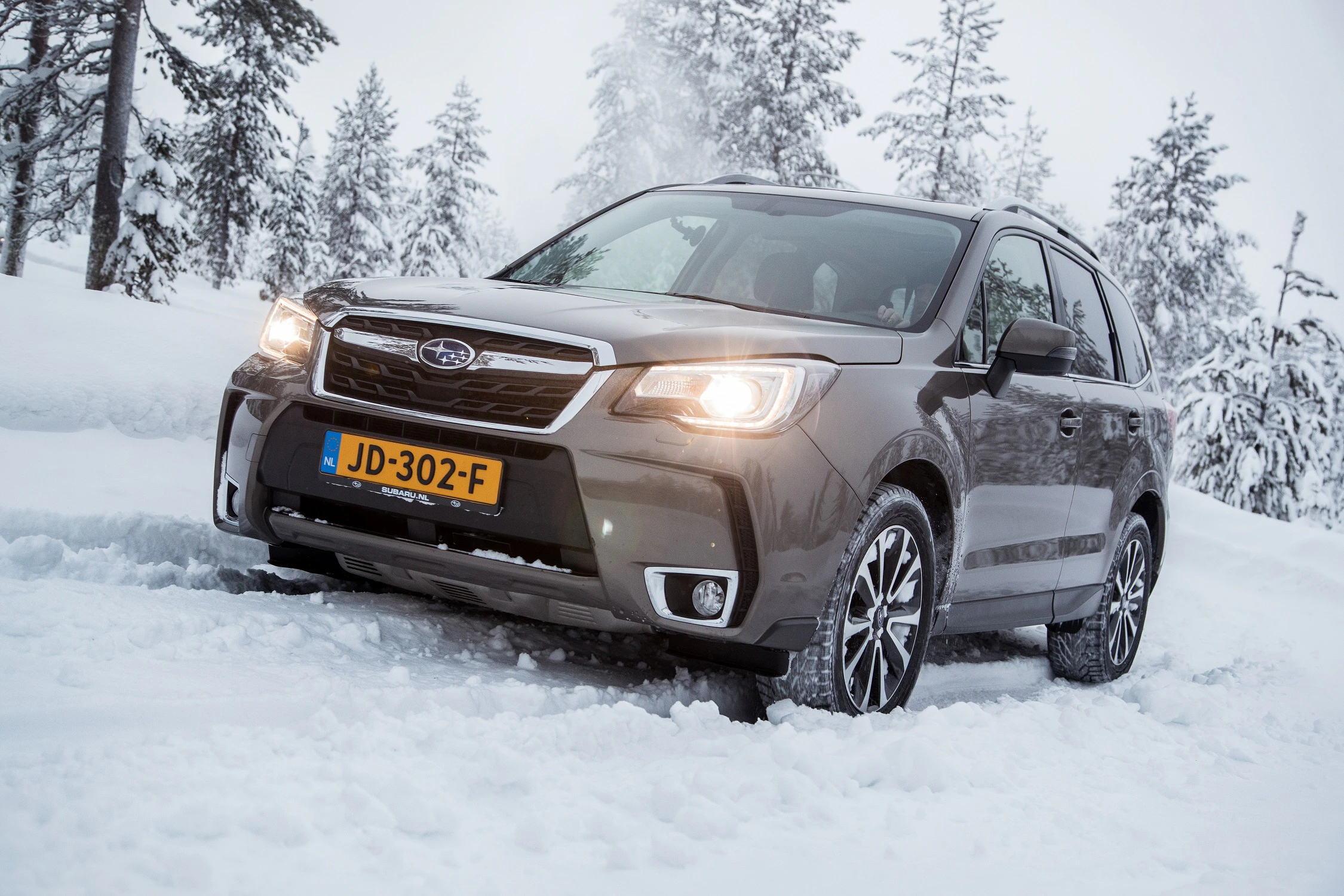 Ein grauer SUV fährt durch verschneite Landschaft, umgeben von schneebedeckten Bäumen.