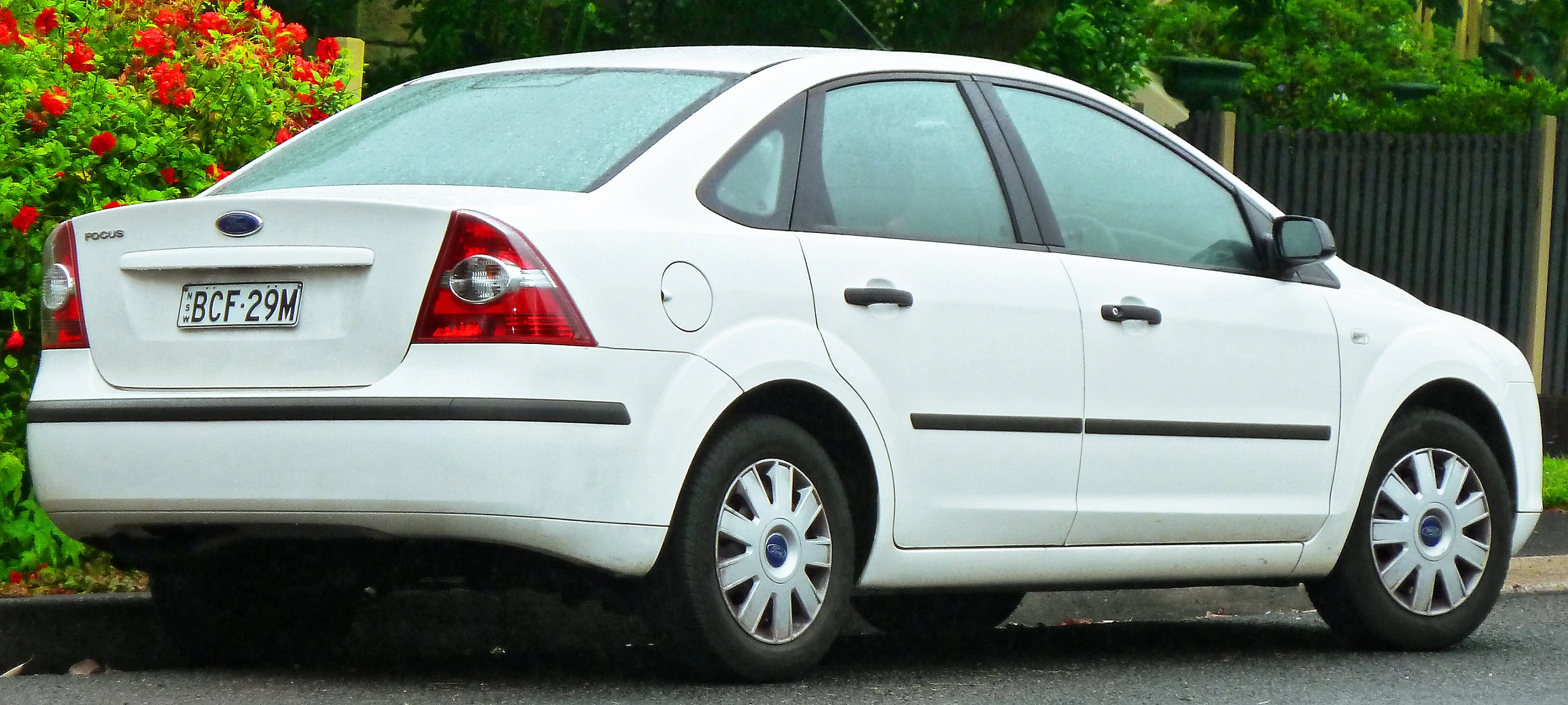 Weißer Ford Focus, seitlich, geparkt auf nasser Straße, umgeben von grüner Vegetation und roten Blumen.
