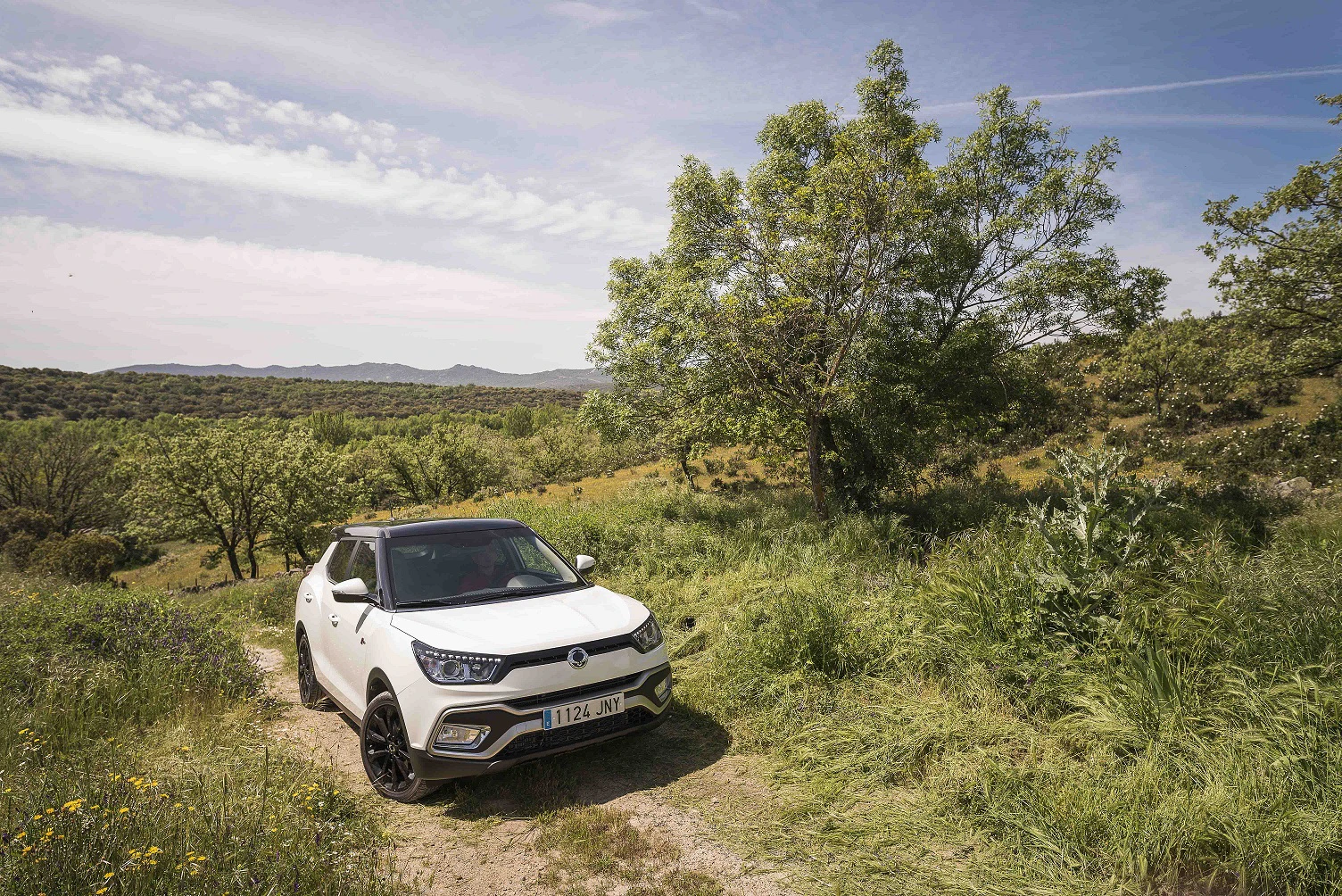Ein weißes Auto steht auf einem schmalen Pfad in einer grünen Landschaft, umgeben von Bäumen und Hügeln unter einem blauen Himmel.