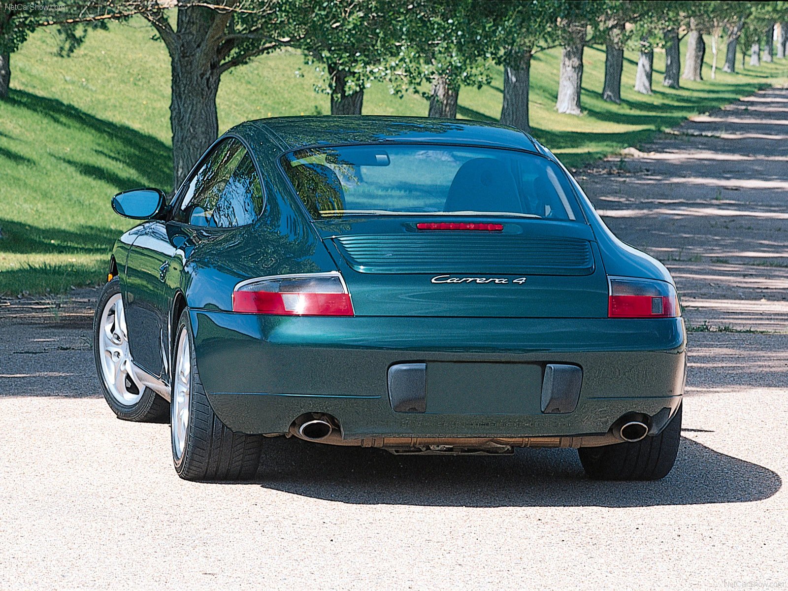 Grüner Sportwagen (Porsche Carrera 4) von hinten auf einer sonnigen Straße, gesäumt von Bäumen.