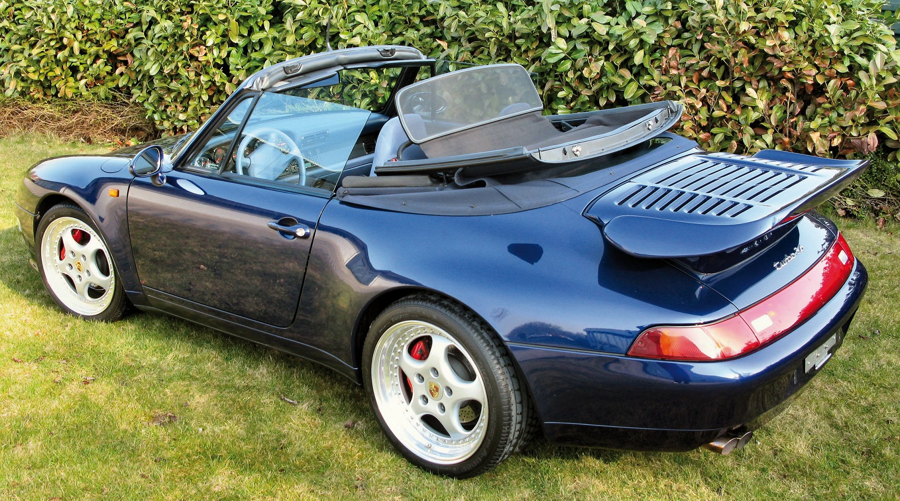 Blauer Cabrio-Sportwagen geparkt auf einer Rasenfläche, Heckansicht. Offenes Dach, grüner Hintergrund mit Hecke.
