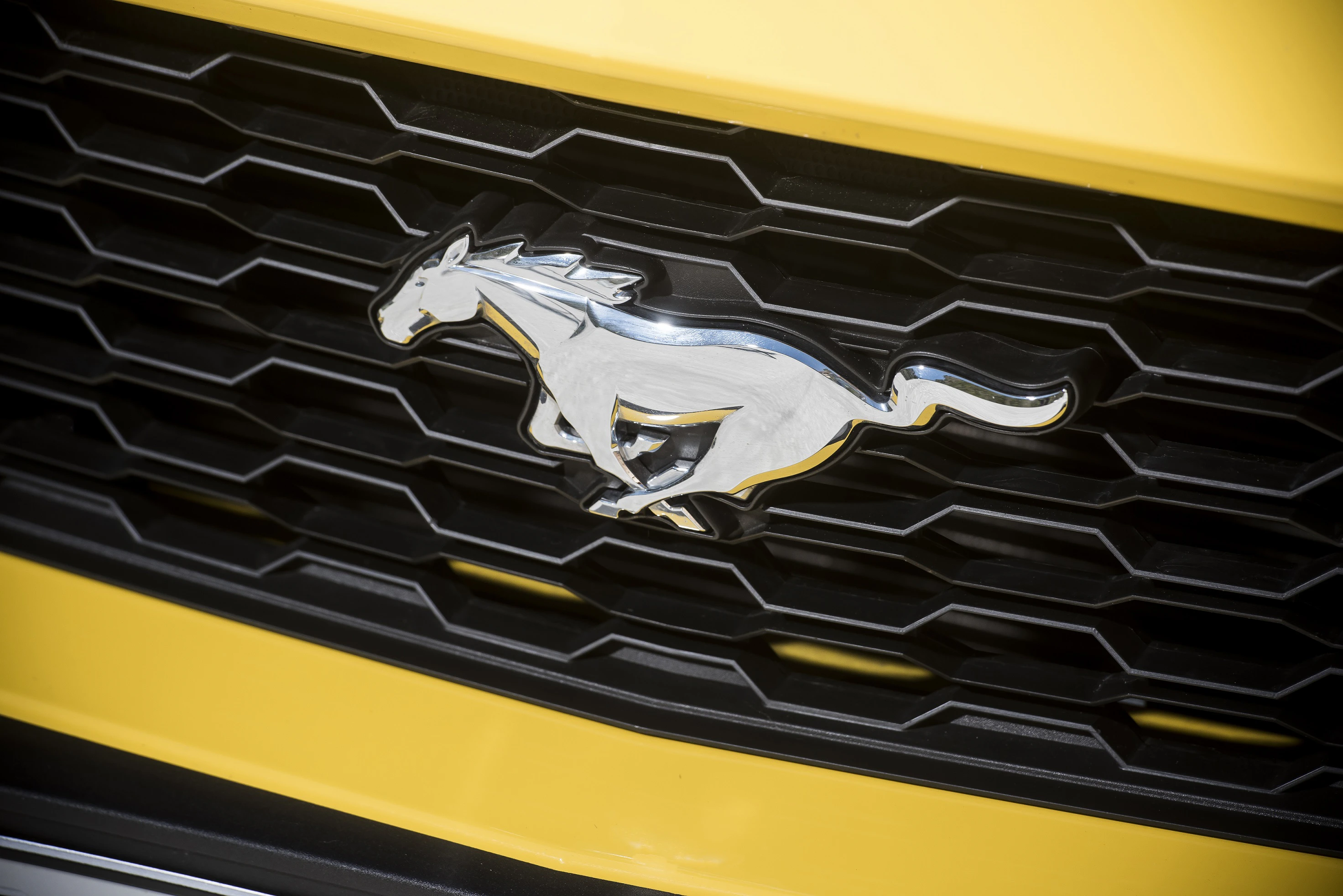 Nahaufnahme eines silbernen Pferdeemblems auf einem gelben Auto-Kühlergrill.