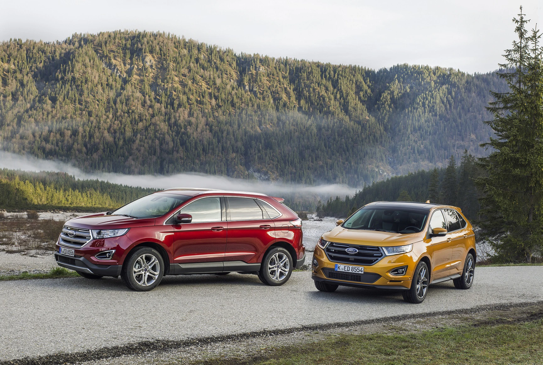Zwei SUVs, einer rot und einer gelb, parken auf einer Straße vor bewaldeten Bergen und nebligem Himmel.