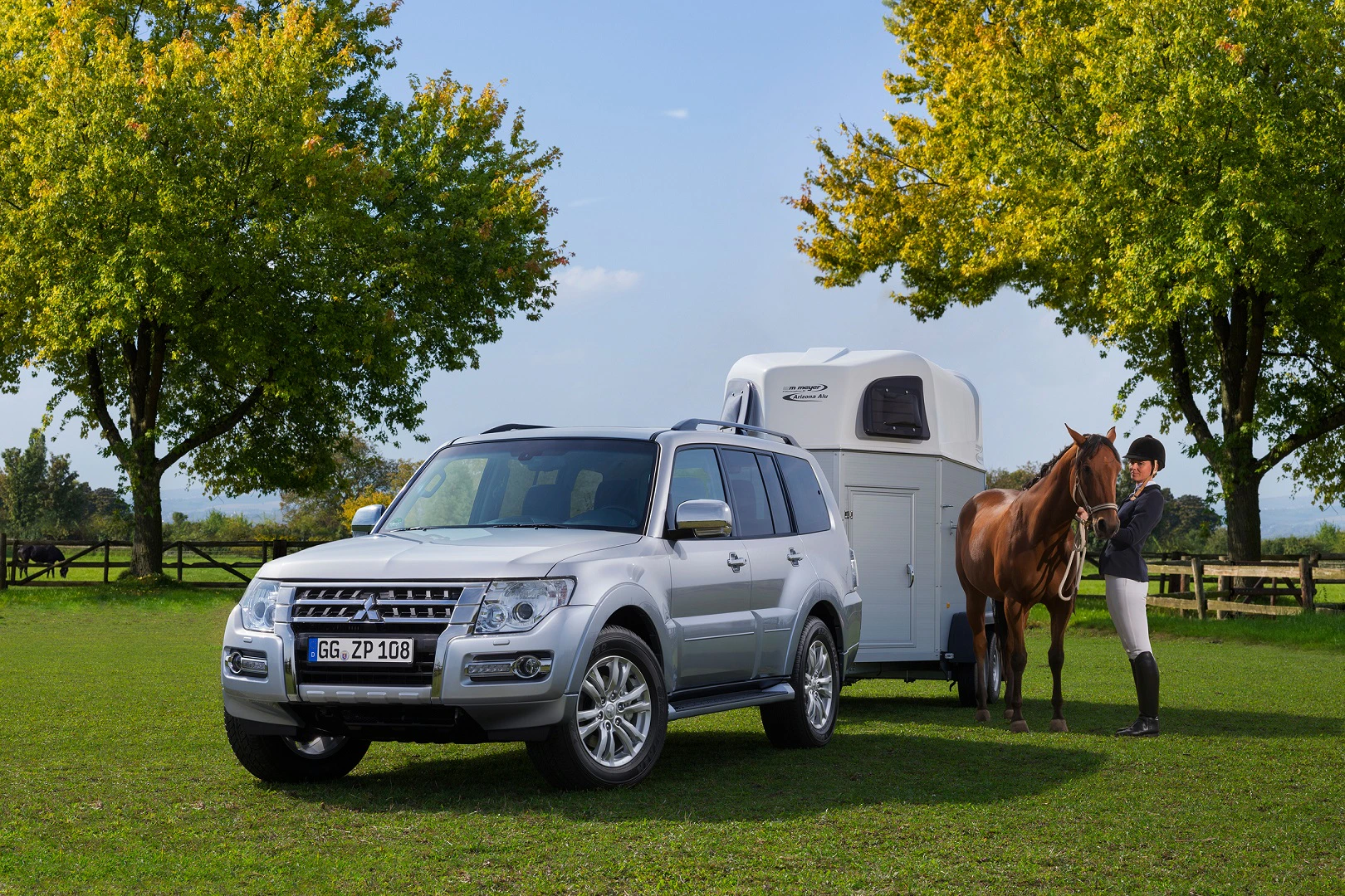 Silberner SUV mit Pferdeanhänger auf einer Wiese. Im Hintergrund Bäume. Eine Person führt ein Pferd zum Anhänger.
