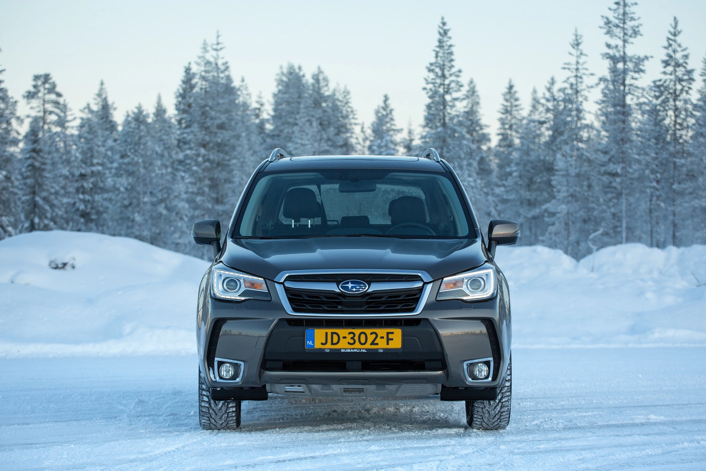 Ein schwarzer SUV mit niederländischem Kennzeichen steht auf einer schneebedeckten Straße, umgeben von schneebedeckten Bäumen.