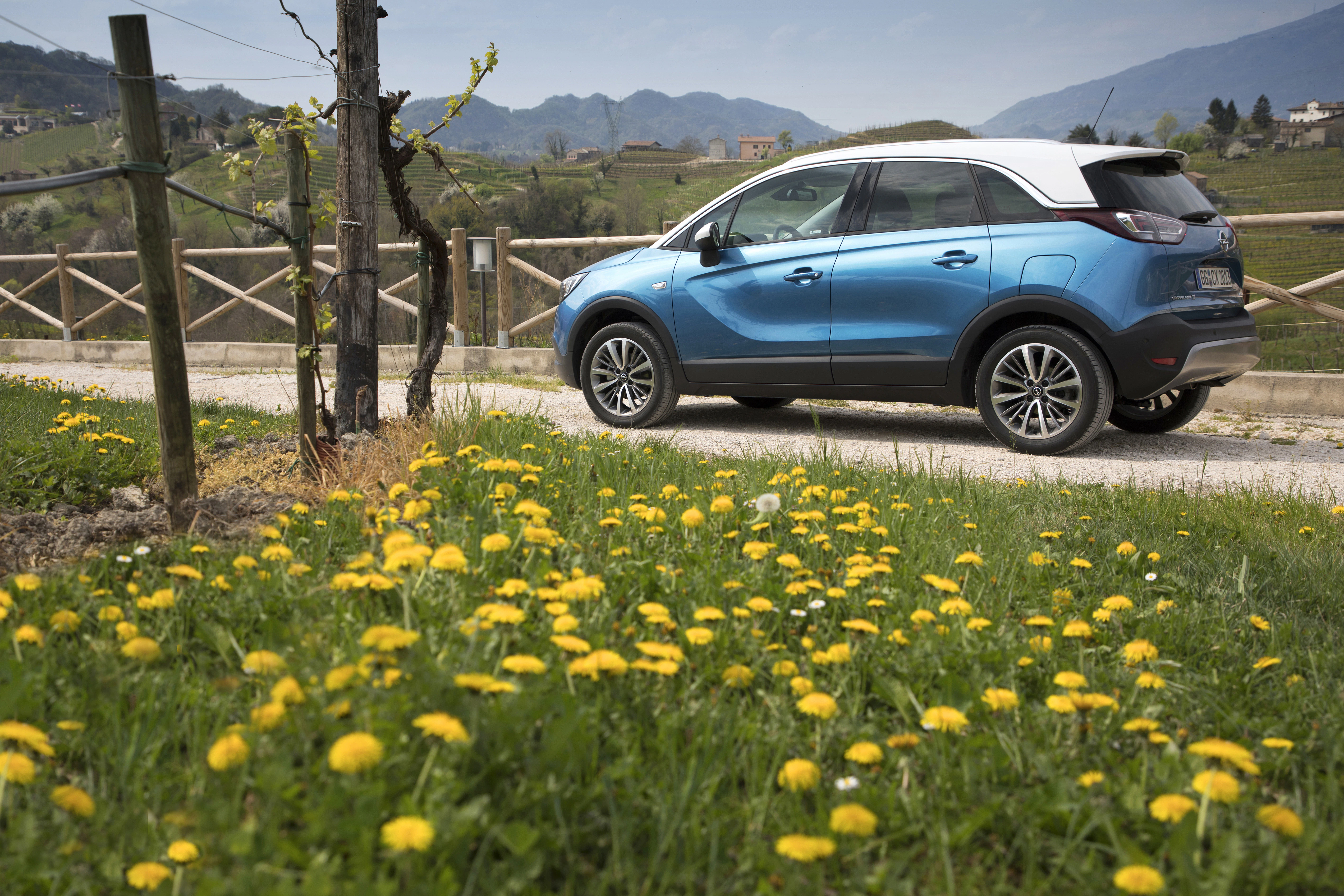 Blauer SUV fährt auf ländlicher Straße, umgeben von grüner Wiese mit gelben Blumen und Hügeln im Hintergrund.
