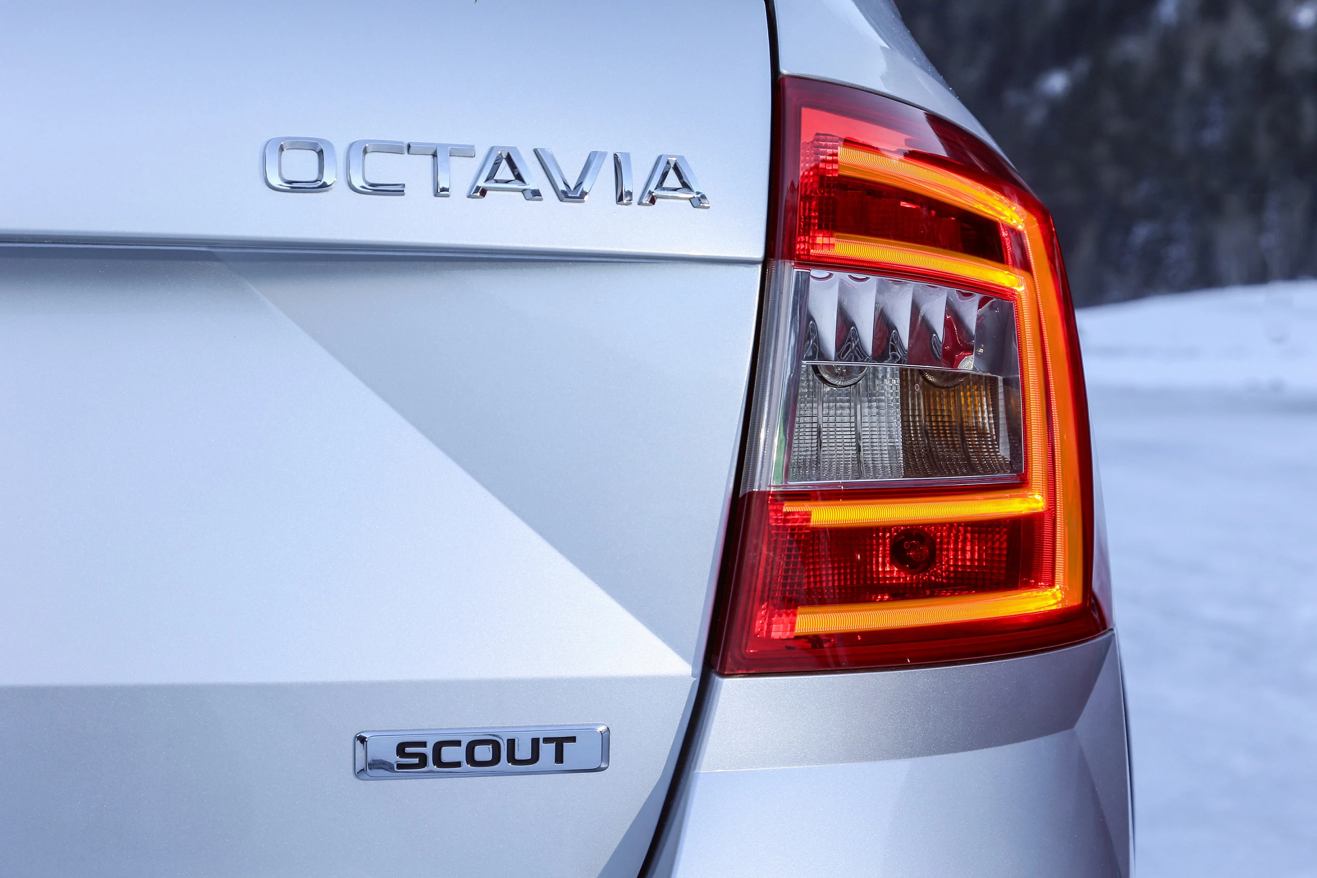 Rückansicht eines silbernen Autos mit "OCTAVIA" und "SCOUT" Schriftzügen, erleuchteten Rücklichtern, auf verschneiter Landschaft.